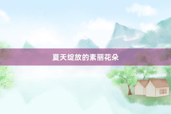 夏天绽放的素丽花朵