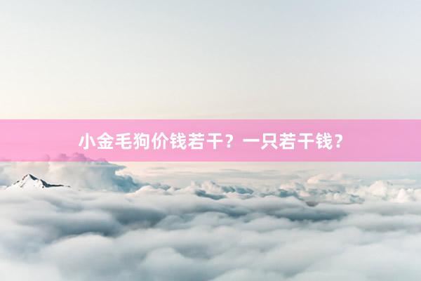小金毛狗价钱若干？一只若干钱？
