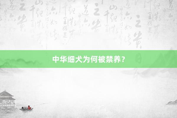 中华细犬为何被禁养？